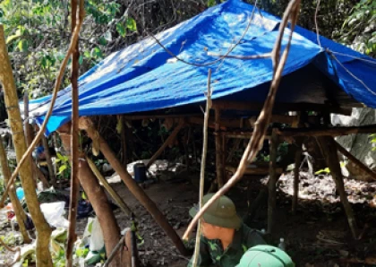  Strengthen forest patrolling