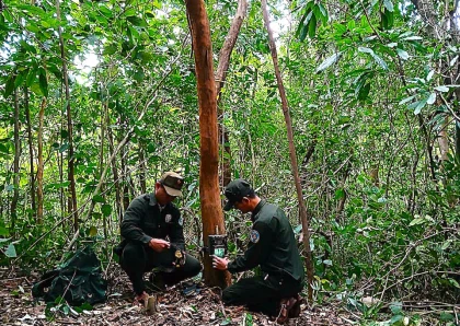 Application of camera trap technology in monitoring and researching biodiversity at the My Son Landscape Protection Area