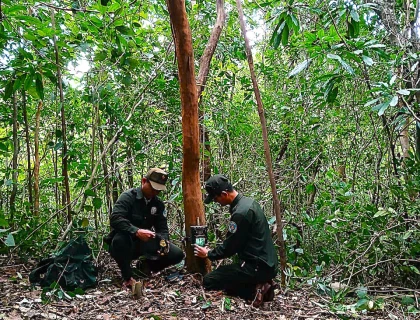 Application of camera trap technology in monitoring and researching biodiversity at the My Son Landscape Protection Area