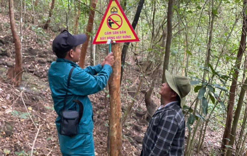 Tăng cường tuyên truyền bảo vệ rừng và phòng cháy chữa cháy rừng tại Mỹ Sơn